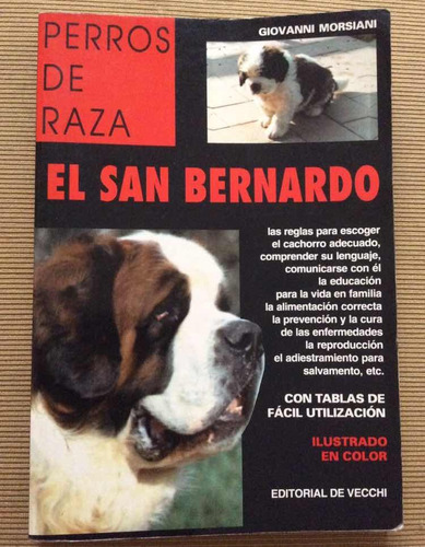 El San Bernardo - Perros De Raza - Giovanni Morsiani
