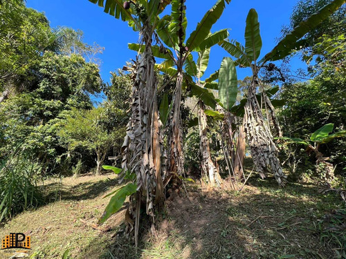 Imagem 25 de 30 de Chácara Residencial À Venda À 600 Metros Da Rodovia Regis Bittencourt Bairro Vargedo - São Lourenço Da Serra/sp - Ch07802 - 71030742