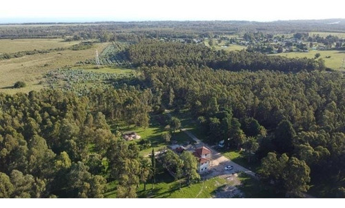 Imagen 1 de 6 de Chacra En Venta De 5 Hás. En Cerros Azules , Maldonado