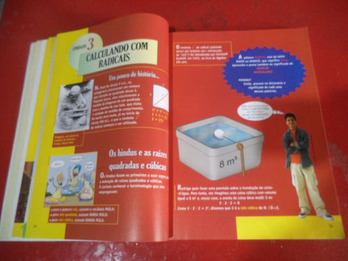 A Conquista Da Matemática 9 - Livro De Giovanni & Castrucci - Editado Em 2012 (Usado)