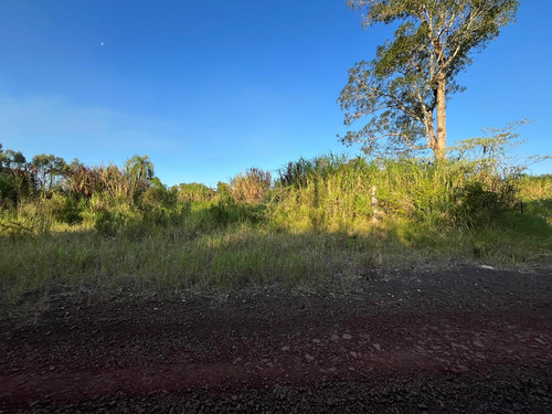 ¡gran Lanzamiento! Loteo Bernal, Km10 De Eldorado - Misiones