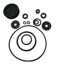 Comprar Kit Empaques P\u002Faspersoras Manuales De  15lts Swissmex