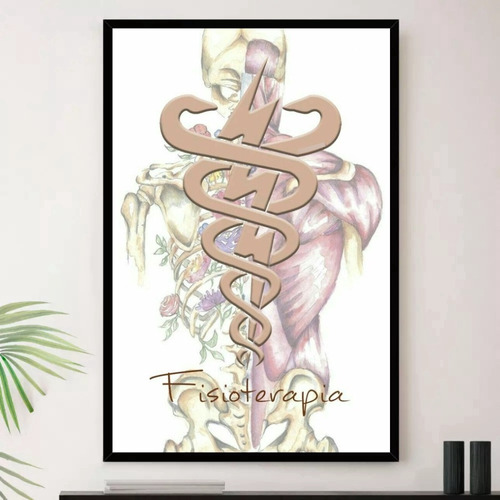 Quadro Fisioterapia Coluna Consultório Decorativo A3 35x45cm