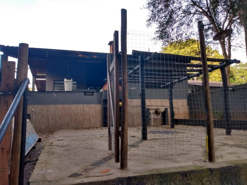 Imagem 3 de 19 de Chácara 300m2, Casa 80m2, 1 Dormitório, 1 Banheiro, 1 Vaga De Garagem, Ótima Localização, Rica Em Água Com Rio No Fundo, Churrasqueira E Fogão A Lenha - Ch00286 - 71019215