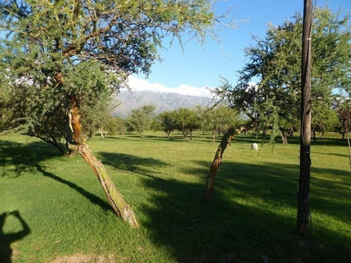 Imagen 4 de 8 de Ruta 14 Km 135