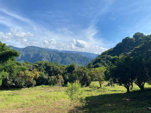 Terreno En Venta En Tepoztlán, Morelos