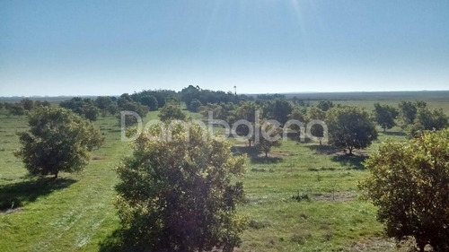 Imagen 5 de 25 de Terreno Campo En Venta Ubicado En Punta Indio, Resto De La Provincia