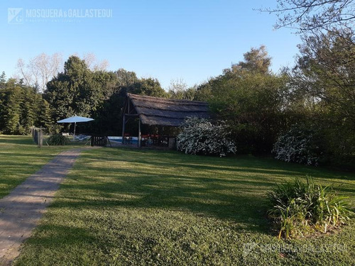 Imagen 22 de 22 de Mosquera Y Gallastegui Venta Financiada Casa-quinta En Benavidez 4100 Metros De Terreno