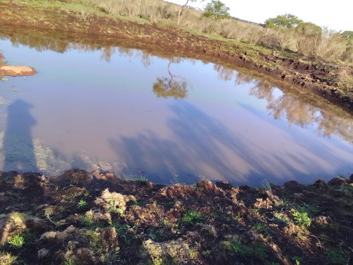 Campo Agrícola Ganadero En Canelones