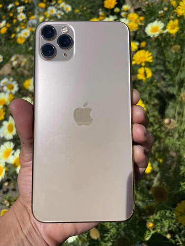 iPhone 11 Pro Max 64gb Oro Rosa