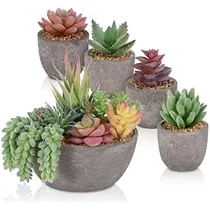 Comprar 5 Piezas De Suculentas Falsas Macetas, Mini Suculentas ...