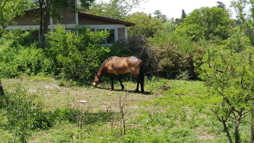 Terreno 4008 M² Frente Al Río B° Santa Mónica, Calamuchita Servicios Instalados. Código (2179)