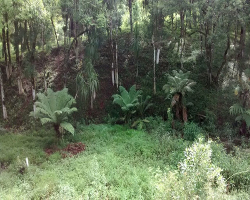 Imagem 29 de 30 de Chacara - Ch00010 - 4788073