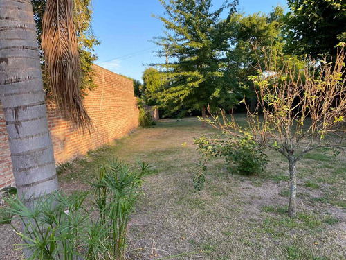 Imagen 11 de 21 de Terreno Forestado Y Cercado En Venta Altura Km10r1