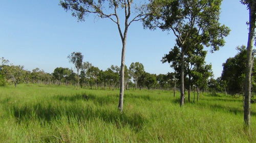 Se Vende Finca Puerto Carreño Vichada 