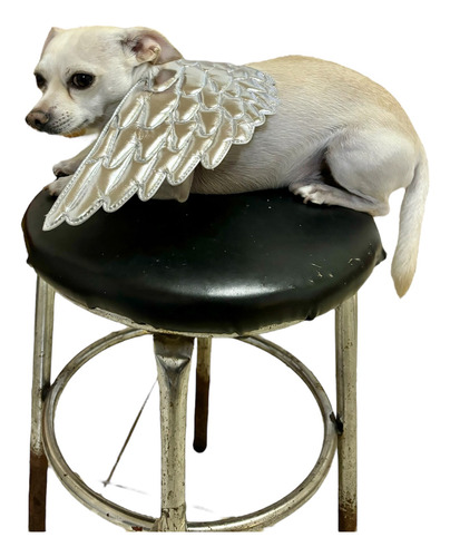 Disfraz Perro Gato Alas De Ángel Halloween Niño Pequeño Bebé