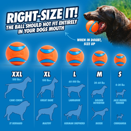 Pelota Ultra Chuckit Talla Grande Colores Surtidos 1 Pieza