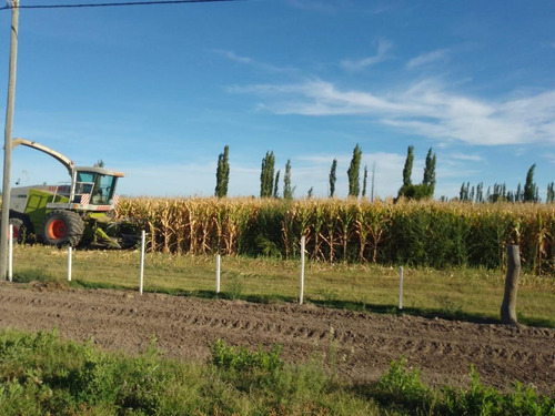 Campo Totalmente Armado Con Viviendas Equipadas - General Alvear-mendoza