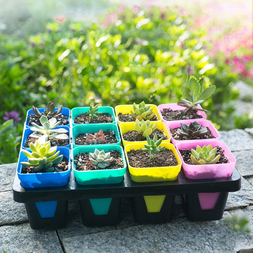 Bandeja Para Macetas De Vivero, Soporte Pequeño 12 Celdas