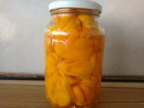 Pimenta Habanero Extremamente Picante No Azeite Extra Virgem