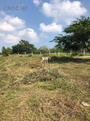 Terreno En Venta En La Antigua Veracruz Zona Playa Chalchihuecan
