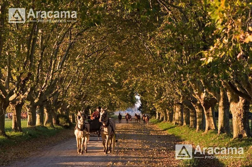 Lote En Estancia Villa Maria - Maximo Paz