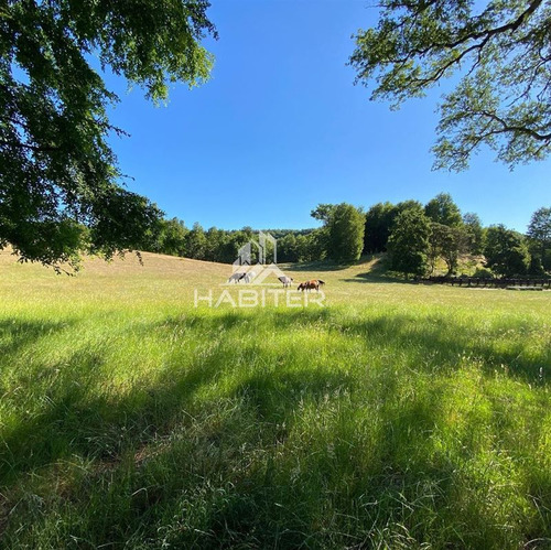 Imagen 5 de 29 de Agrícola 122 Ha. Con Rio Y Bosque Nativo En Venta Collipulli