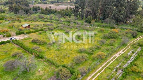 Parcela De 5000m2 Condominio Las Añañucas Limache