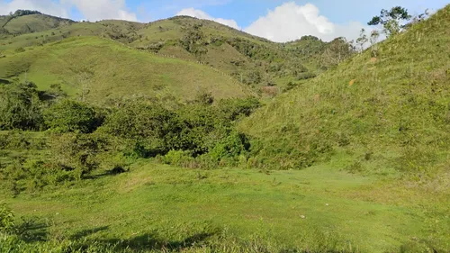 Lotes En Concepcion Planos Con Acceso Al Rio