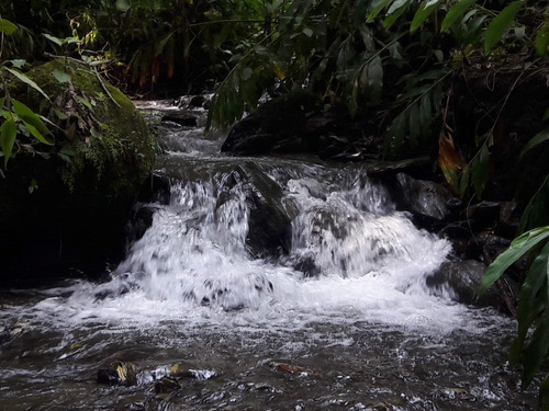 Se Vende Finca Cafetera En El Tolima
