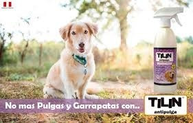 Tilin Antipulga Elimina Pulgas Garrapata 180 Y 500ml Mascota