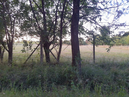 Imagen 30 de 30 de Venta Terreno 7124 M2 Matheu Belen De Escobar