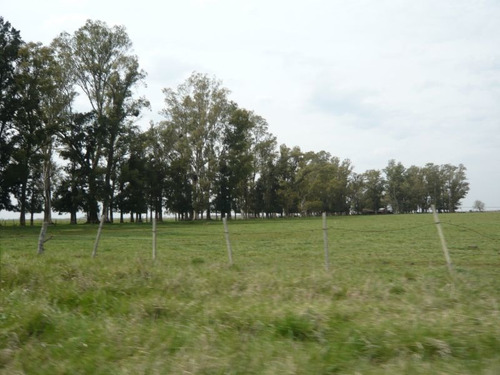 Imagen 10 de 17 de Campo En Cañuelas