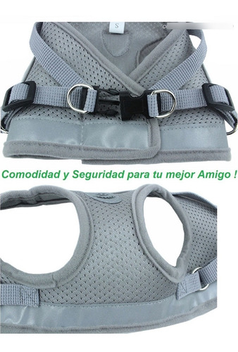 Pechera Malla Para Perros Razas Pequeñas + Correa