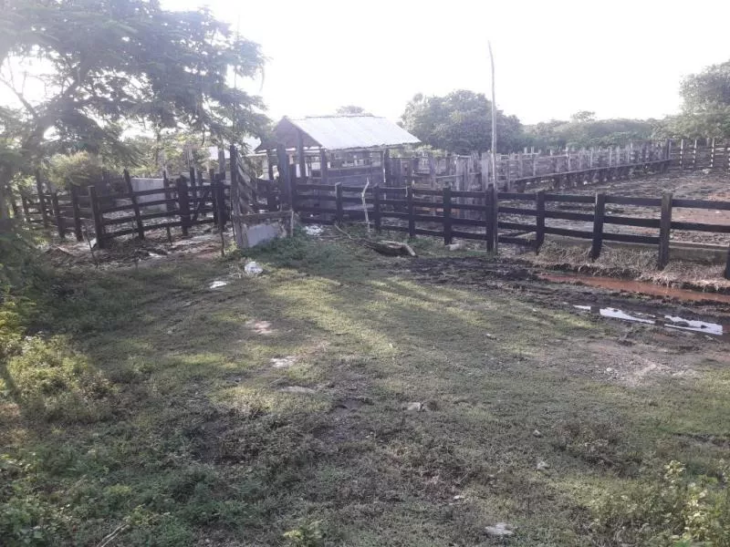 Rancho En Venta Tizimin Centro