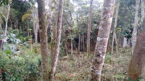 Imagem 2 de 6 de Terreno - Te00026 - 34299727
