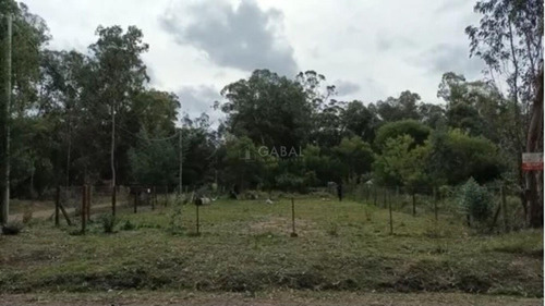 Terreno En Sauce De Portezuelo