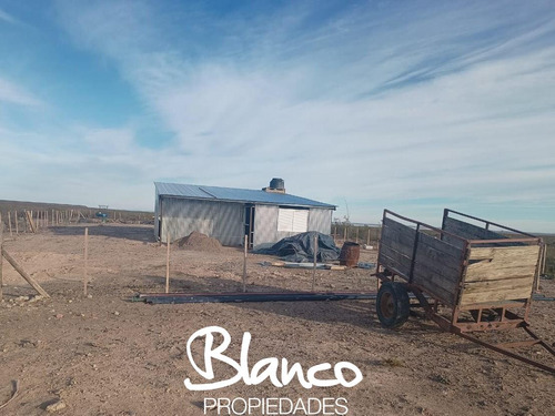 Terreno Campo En Venta En 25 De Mayo, Puelen, La Pampa