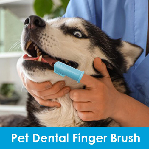 Cepillo De Dientes Para Perros Cepillo De Dientes Para Perro