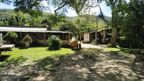 Imagen 6 de 14 de 165595 Katherine Castillo 0412-8567234 Venta Finca Carretera Aguirre