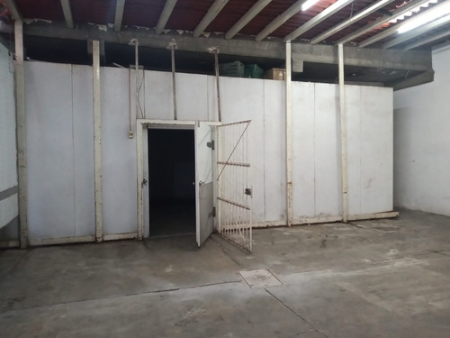 Rento Bodega Con Camara De Refrigeracion Para 90 Toneladas Con 2 Departamentos