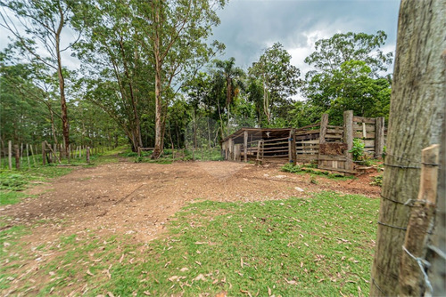 Imagem 28 de 30 de Sitio Rural - Praia Paulistanas - Reo639076