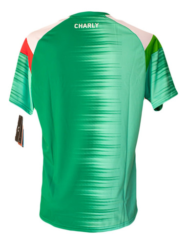 Jersey Del León Fc Pre-match