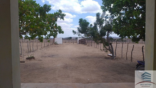 Imagem 9 de 14 de Granja A Venda Em Tangará