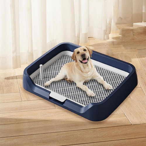 Orinal Para Perros De Interior, Almohadillas De Tren, Azul