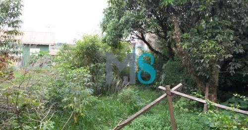 Imagem 6 de 13 de Terreno - Vila Perracini - Te0024