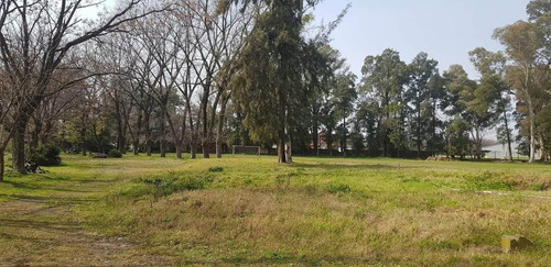 Imagen 6 de 16 de Terreno - Bella Vista