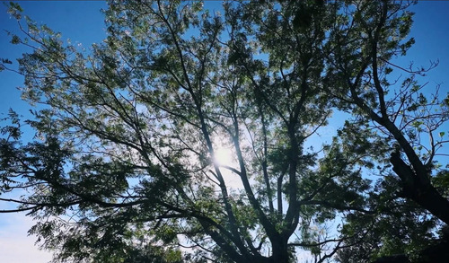 ESTANCIA CARABASSA