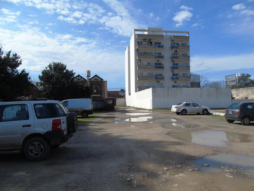 Imagen 13 de 19 de Departamento En Alquiler En La Plata Calle 35 E/ 25 Y 26 Dacal Bienes Raices