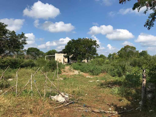 Imagen 3 de 10 de Venta De Terreno En Tetiz